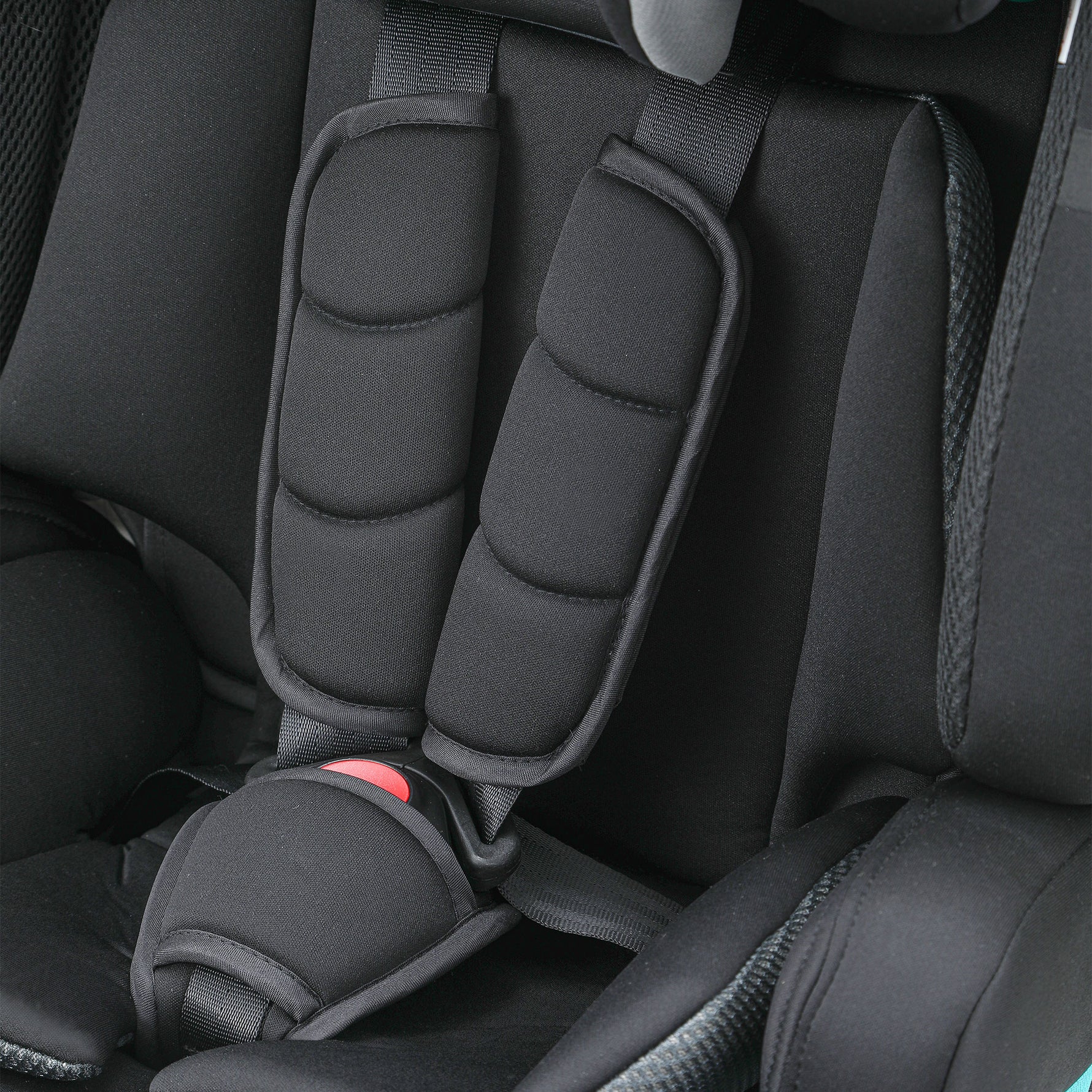 Cozy N Safe Everest i-Size Child Car Seat |Lili And Archie